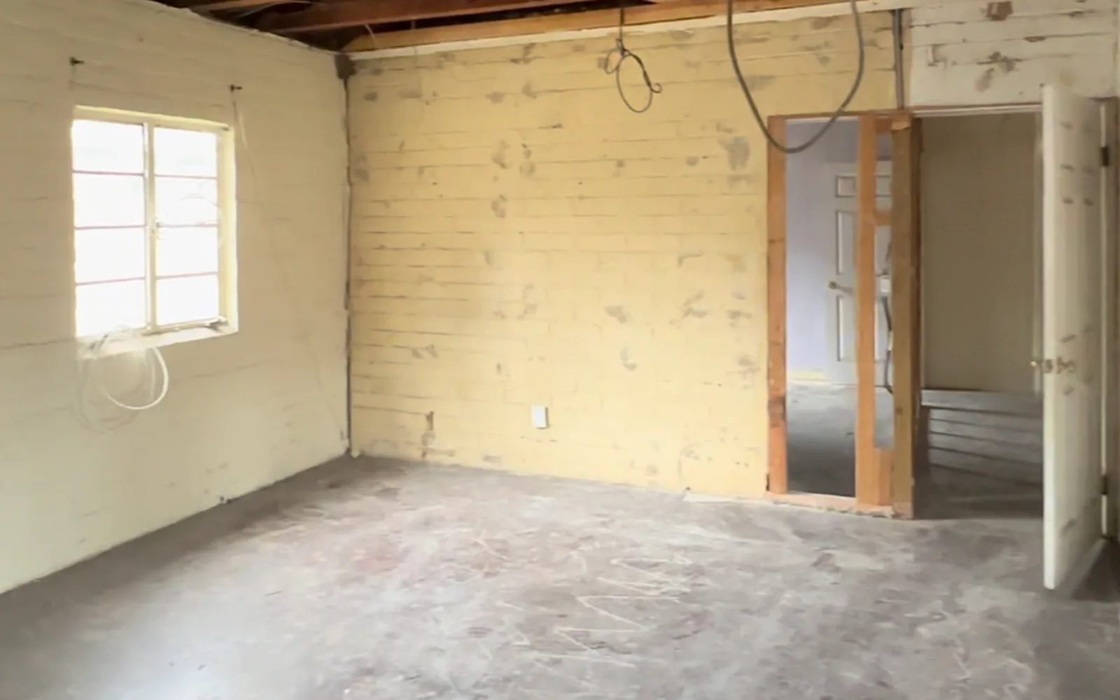 Whole-Home Gut Demolition